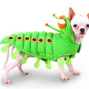 Caterpillar Dog Costume