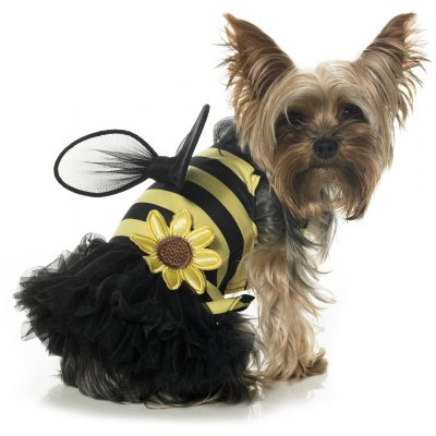 Daisy Bee Dog Costume