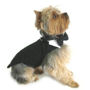 Dog Wedding Tuxedo