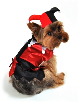 Jester Dog Costume