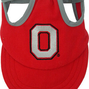 Ohio State Buckeyes Dog Hat