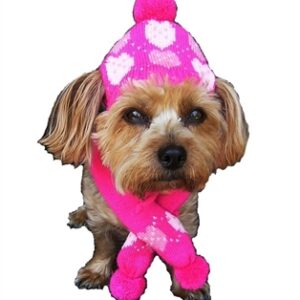Pink Hearts Dog Hat and Scarf