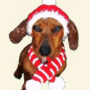 Red Holiday Dog Hat and Scarf