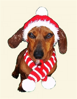 Red Holiday Dog Hat and Scarf