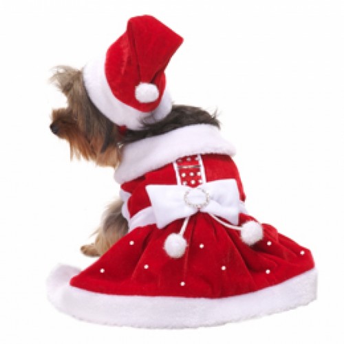 Santa Paws Dog Dress