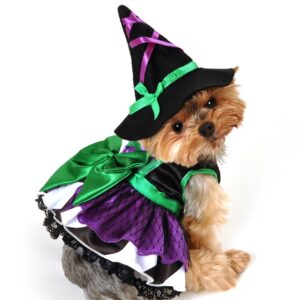 Scary Witch Dog Costume