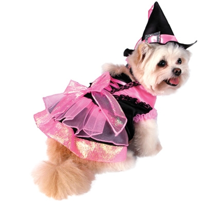 Shiny Pink Witch Dog Costume