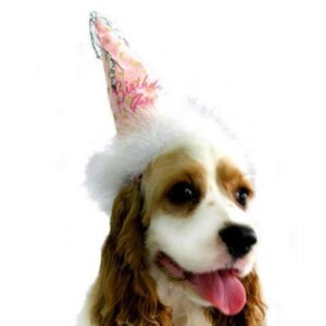 Pink Dog Birthday Hat
