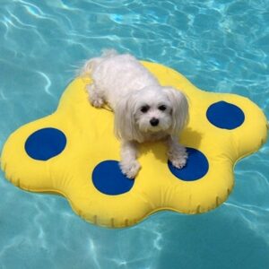 Paw Print Pool Inflatable Dog Raft