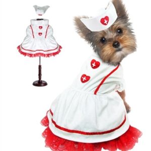 Sweetheart Nurse Dog Costume