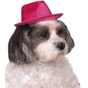 Pink Fedora Dog Hat