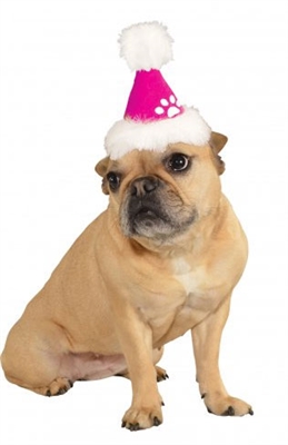 Pink Santa Dog Hat