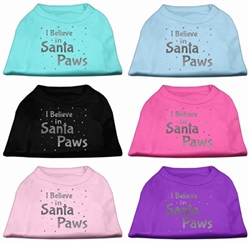 I Believe in Santa Paws Dog Shirt