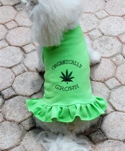 Organically Grown Dog Dress