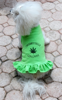 Organically Grown Dog Dress