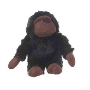 Look Who Is Talking Chimpanzee Dog Toy