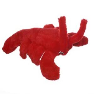 Look Who Is Talking Lobster Dog Toy