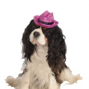Pink Sparkles Dog Hat