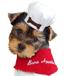Dog Chef Hat