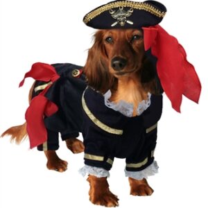 Buccaneer Pirate Dog Costume