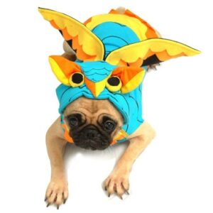 Colorful Owl Dog Costume