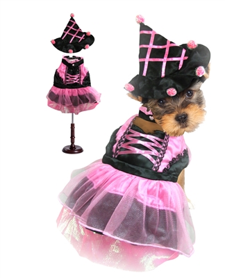 Pink Pompom Witch Dog Costume