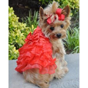 Red Satin Holiday Dog Dress and Leash