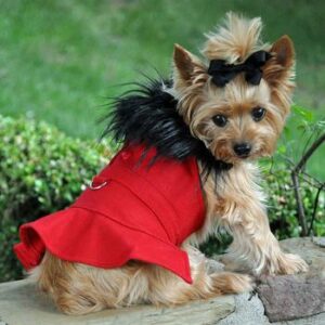 Red Wool Fur Collar Dog Coat