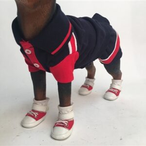 Red and Polo Dog Costume