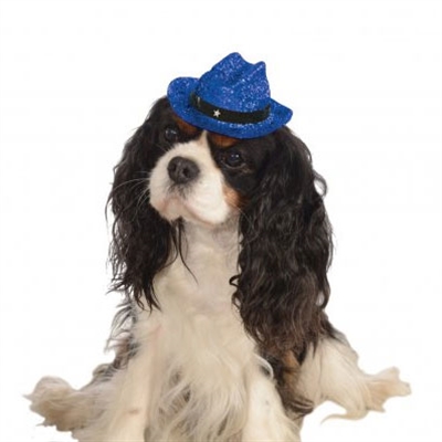 Blue Sparkles Dog Hat
