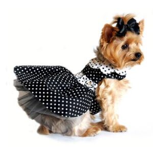 Black Polka Dot Dog Dress