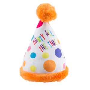 Happy Birthday Party Hat